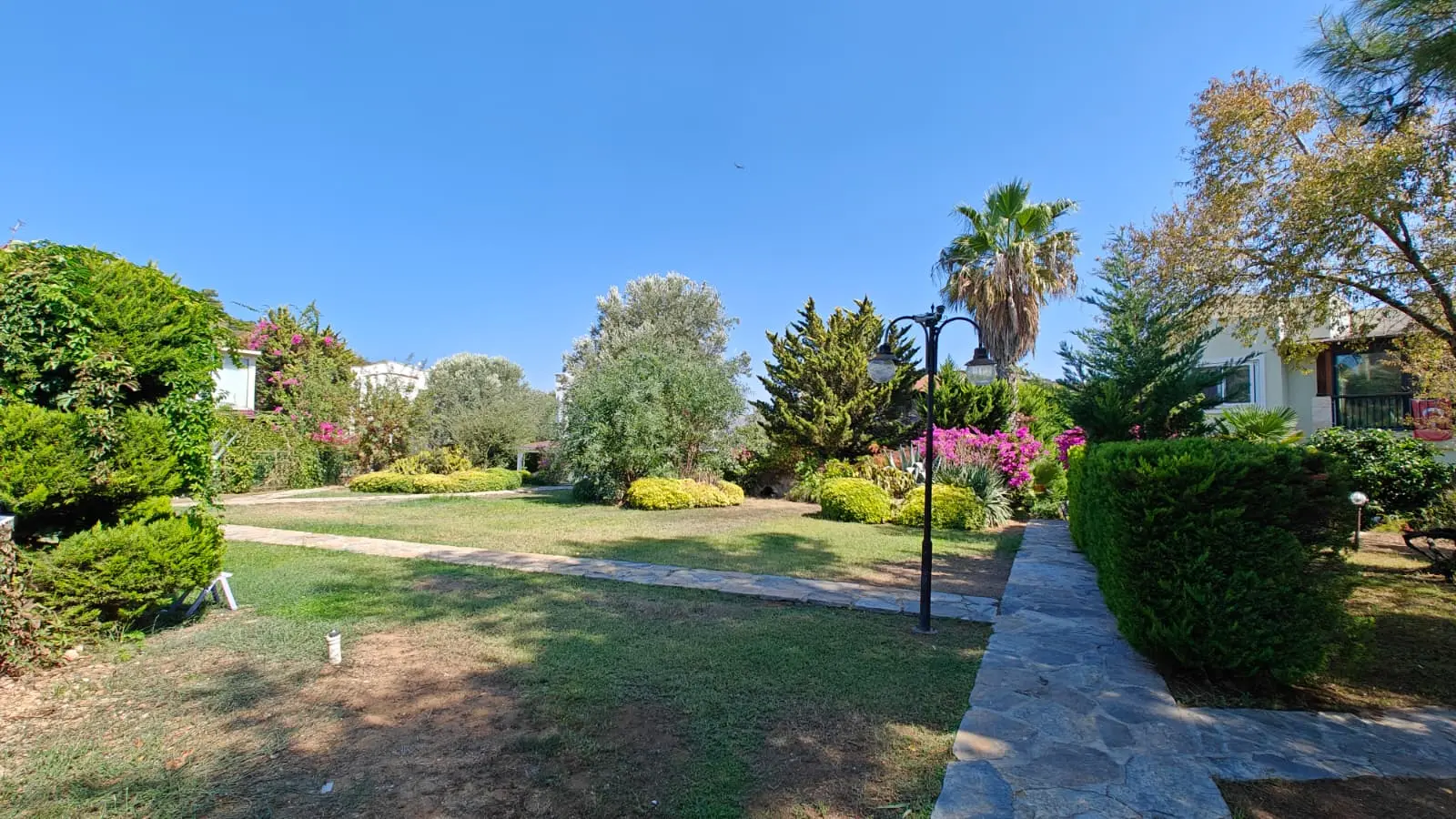 Mature gardens